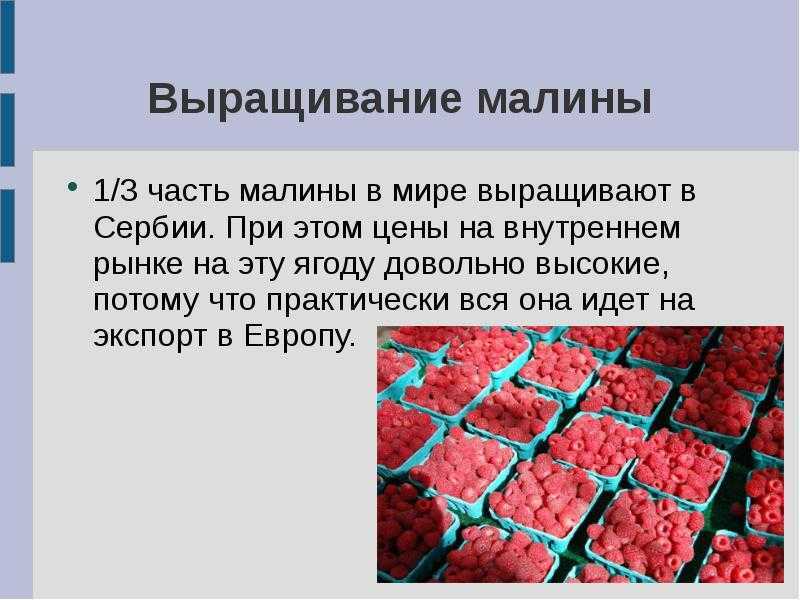 28 главных достопримечательностей сербии