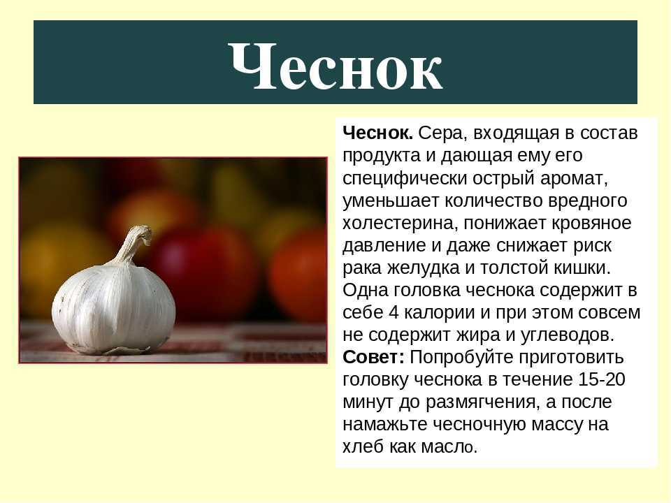 Польза и вред чеснока для здоровья — 10 фактов о его влиянии на организм человека