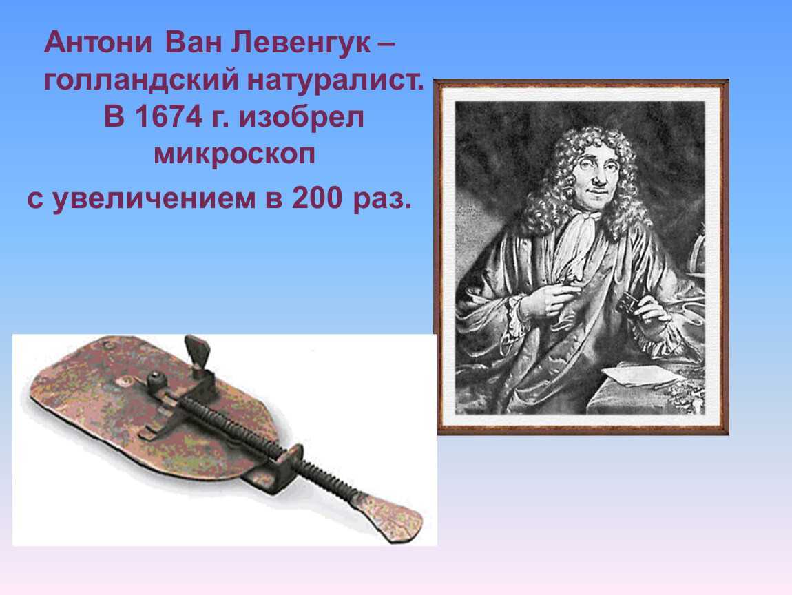 История вакцинопрофилактики