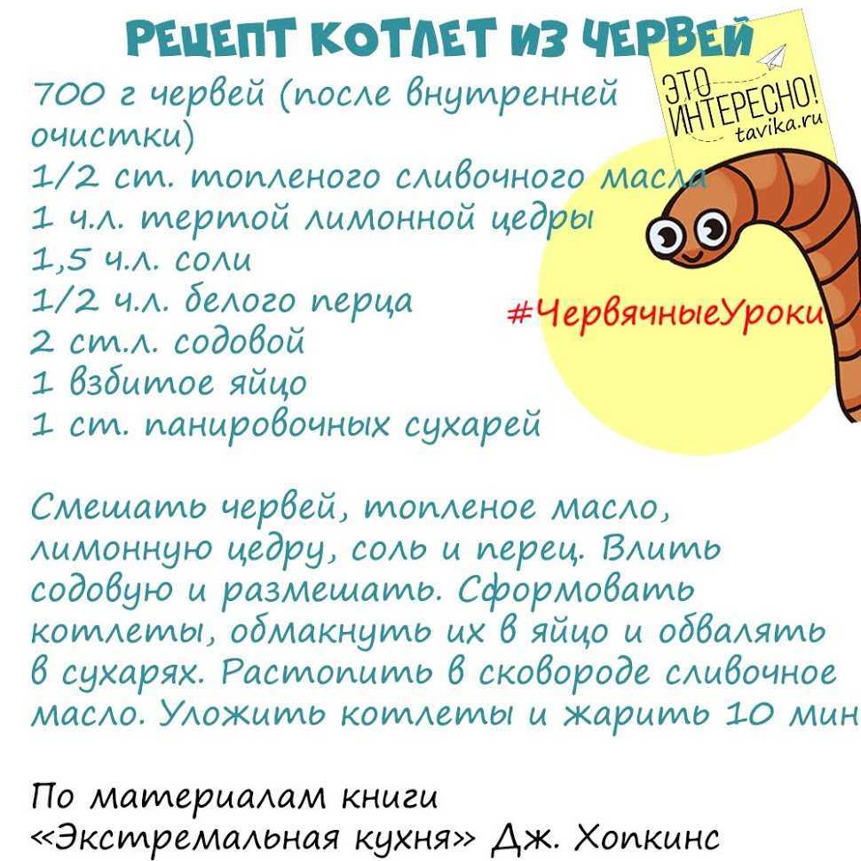 о кольчатых червях это прекрасная возможность узнать больше о беспозвоночных животных Эти существа играют важную роль в экосистеме
