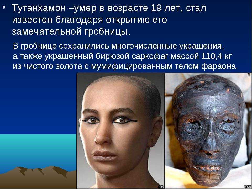 Тутанхамон – биография, фото, личная жизнь, гробница, проклятие 2023 - 24сми