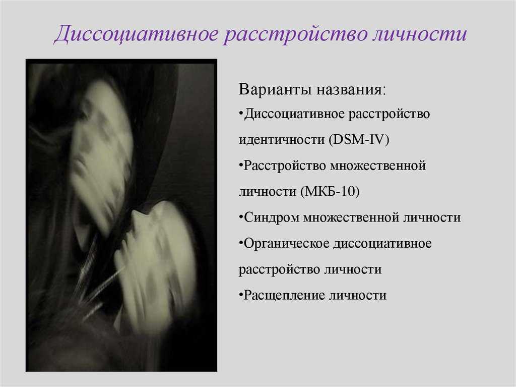 Ширли маклейн
