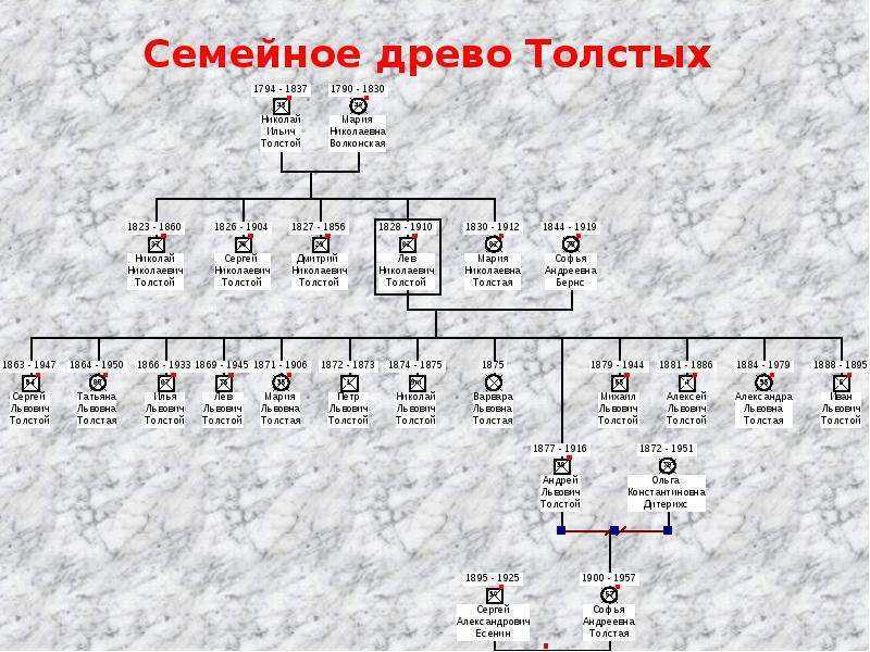 Лев толстой – биография, фото, личная жизнь, рассказы и книги - 24сми