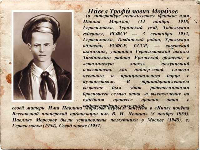 Павлик морозов - биография и семья