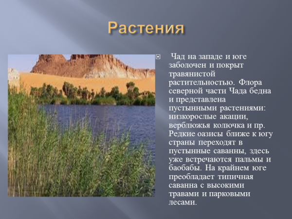 Страны центральной африки