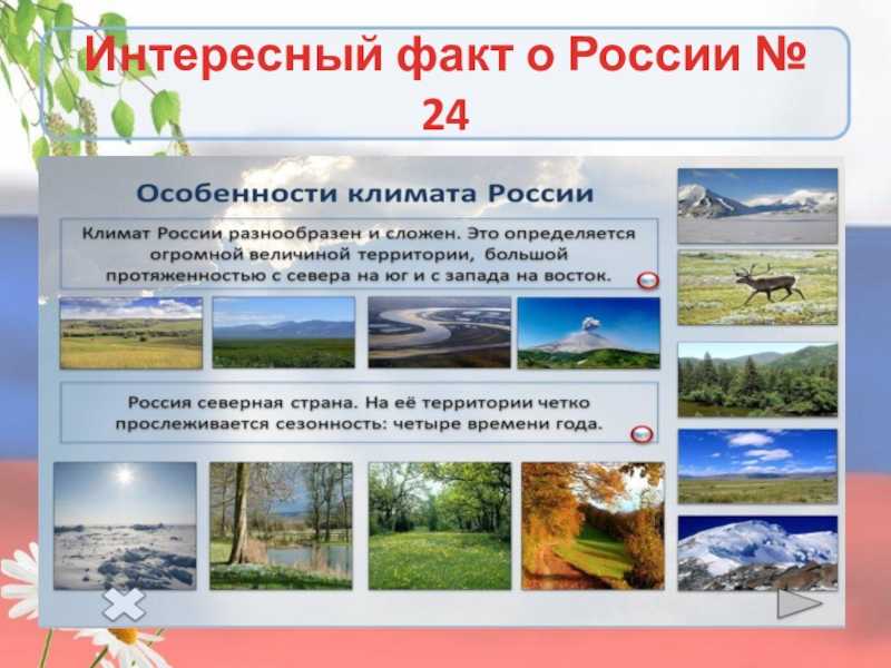 Географическое положение россии - площадь и протяженность страны