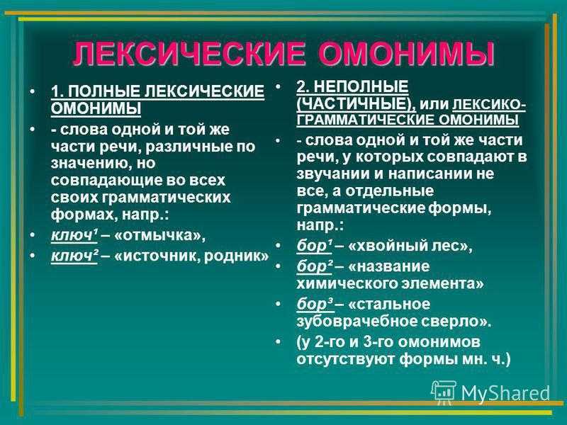 Презентация про омонимы