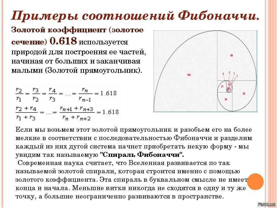 Числа фибоначчи соотношения. Число Фибоначчи золотое сечение. Цифры Фибоначчи и золотое сечение. Формула Фибоначчи золотое сечение. Пропорция чисел Фибоначчи.