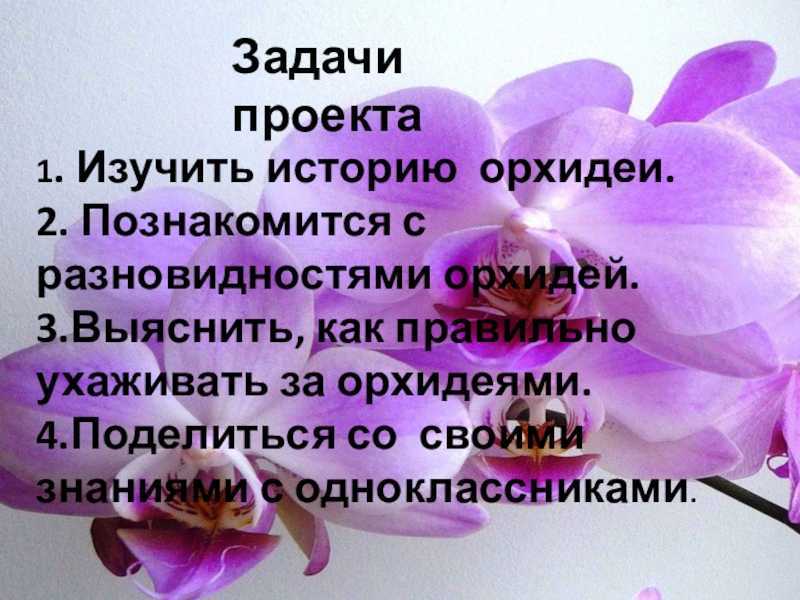 Всё об орхидеях, как выглядит, виды, где растет, размножение, интересные факты – удивительные факты