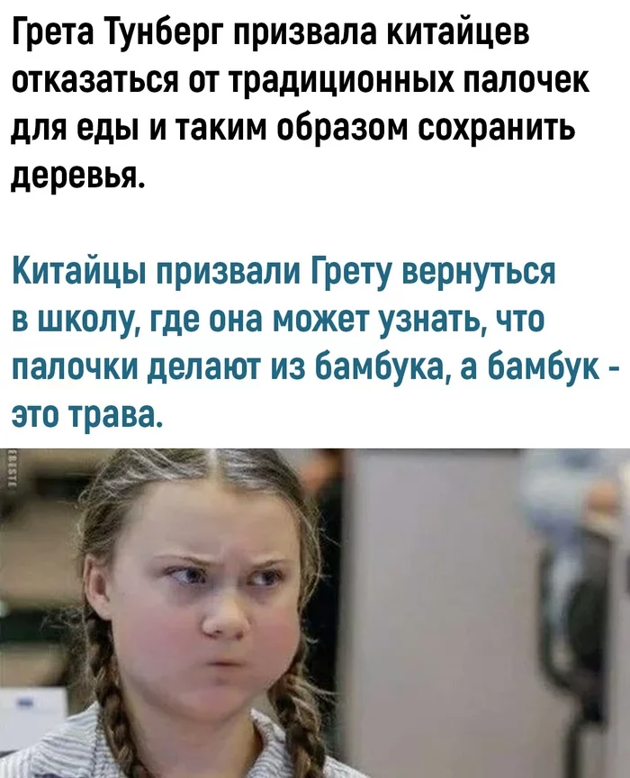 Грета тунберг – биография, личная жизнь, фото, новости, сейчас, выступления, диагноз, россия, «агент кремля» 2023 - 24сми