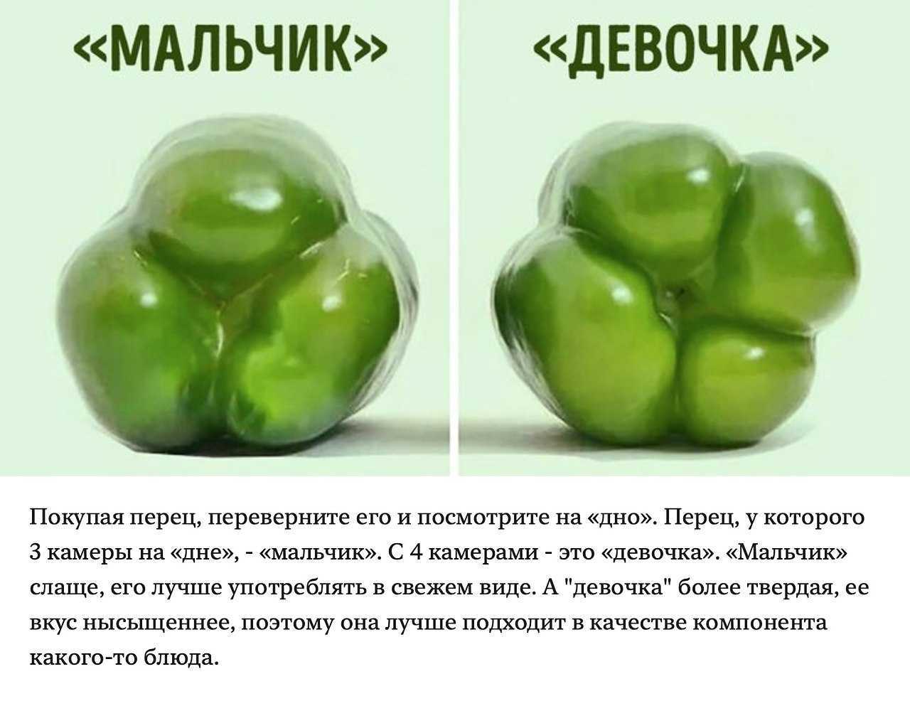 Выбираем сладкий перец по цвету - в чем разница?
