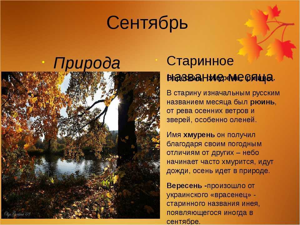 Явления природы