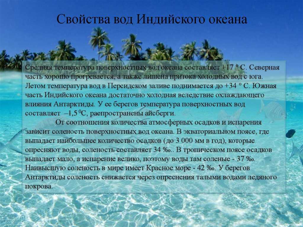 Мадагаскар: удивительный остров |