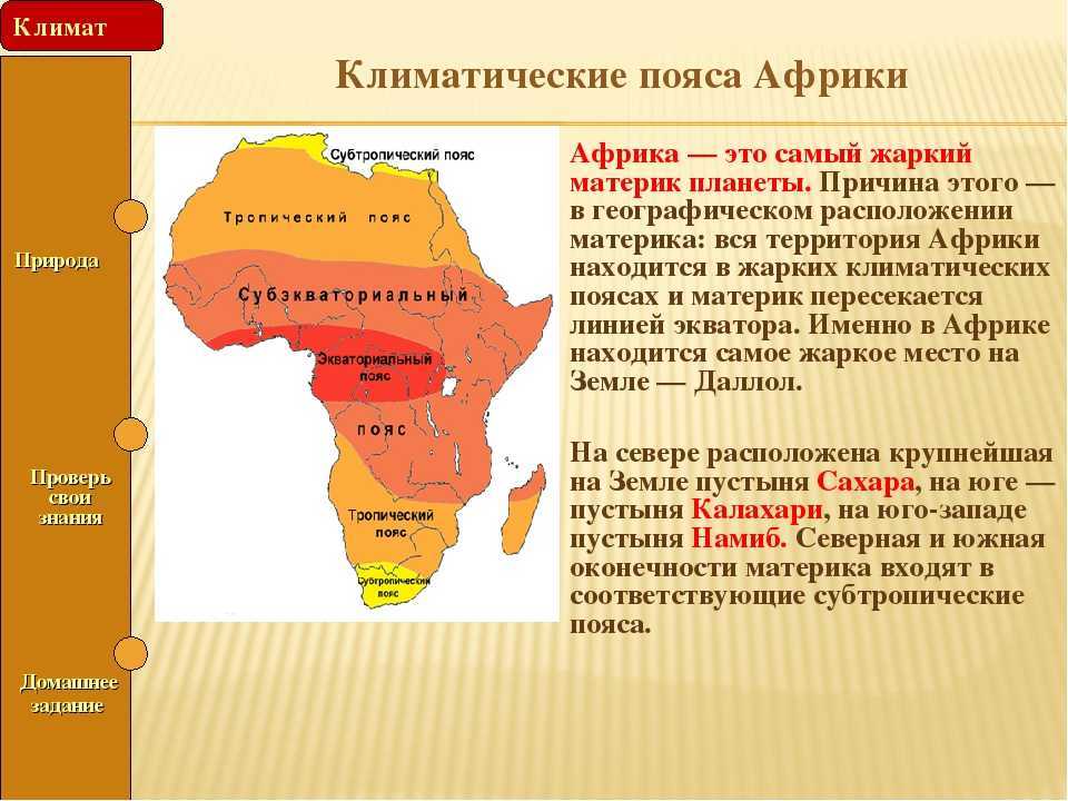 Африка сегодня - это перспективно? природа, население и хозяйство африки.