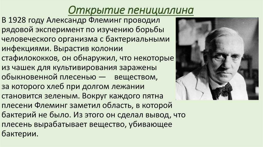 Александр флеминг презентация