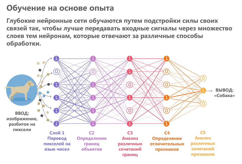 Нейросеть блок схема