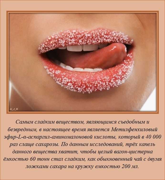 «знаешь ли ты?»: 100 интересных фактов почти обо всем на свете