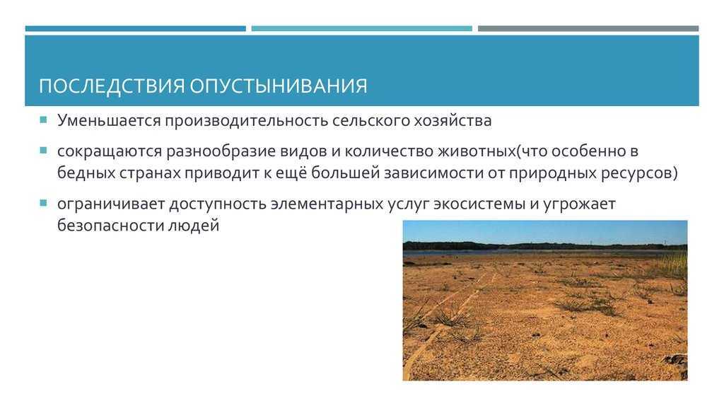 Вырубка лесов как экологическая проблема в России и в мире К чему приводит вырубка лесов: проблема и пути её решения Статистика по уничтожению лесных зон