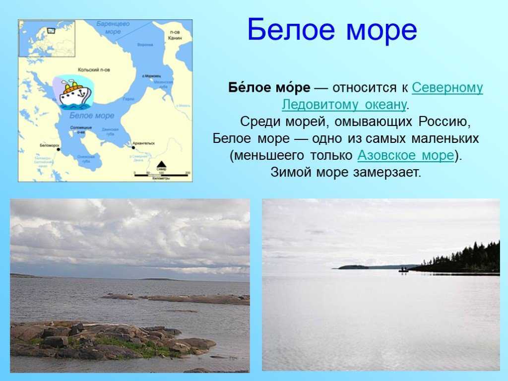 В чем разница между океанами и морями