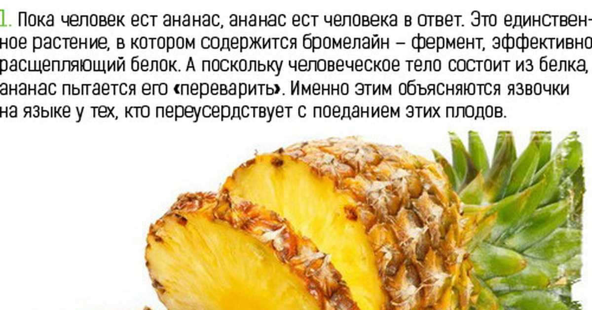 Ананас – полезные свойства, состав и противопоказания