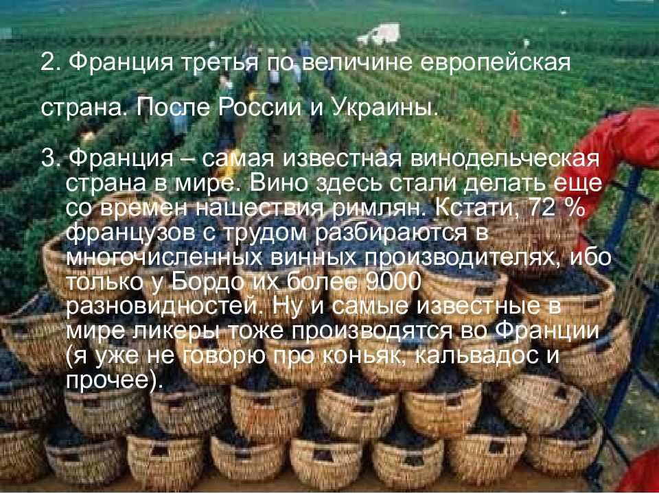 Факты о франции. Интересные факты о Франции. Удивительные факты о Франции. Франция интересные факты о стране. 10 Интересных фактов о Франции.