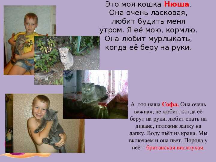 Сочинение на тему дикие животные 3 класс