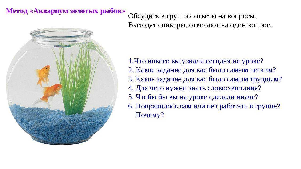 Исследование аквариумных рыбок какая наука. Прием аквариум. Методика аквариум. Дискуссия аквариум. Интерактивная технология аквариум.