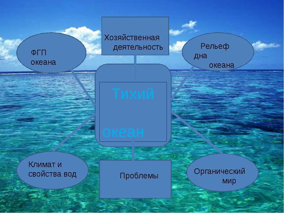 Главная особенность океана